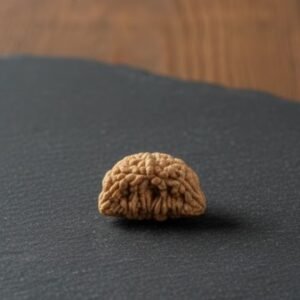 Original 1 Mukhi Rudraksha Cashew Shape