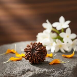 Original Natural 10 Mukhi Rudraksha