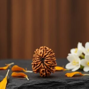 Buy Online Natural 12 Mukhi Rudraksha
