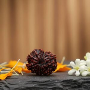 Natural Certified 13 Mukhi Rudraksha