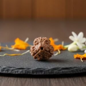 3 Mukhi Rudraksha Bead  Authentic Nepali Spiritual Bead