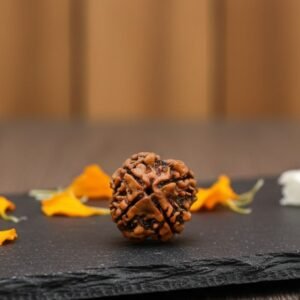 Natural 4 Mukhi Rudraksha