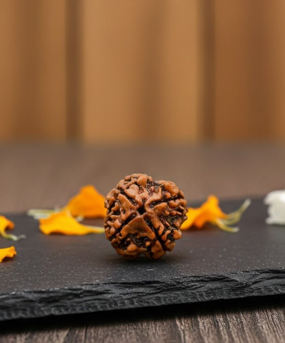 Natural 4 Mukhi Rudraksha