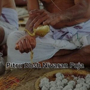 Pitru Dosh Nivaran Puja