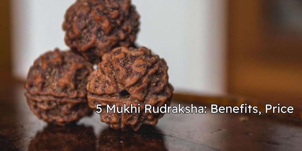 5 Mukhi Rudraksha Benefits, Price