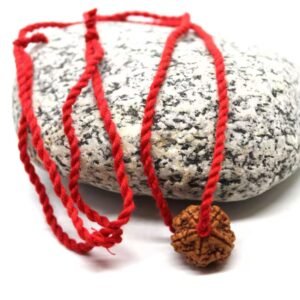 5 Mukhi Rudraksha Red Thread