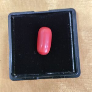 Original Red Coral Stone – Natural Moonga Certified Gemstone - Shani Dham Mandir